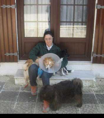 Inga und Lino
