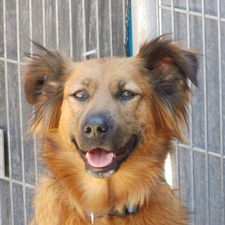 Boris