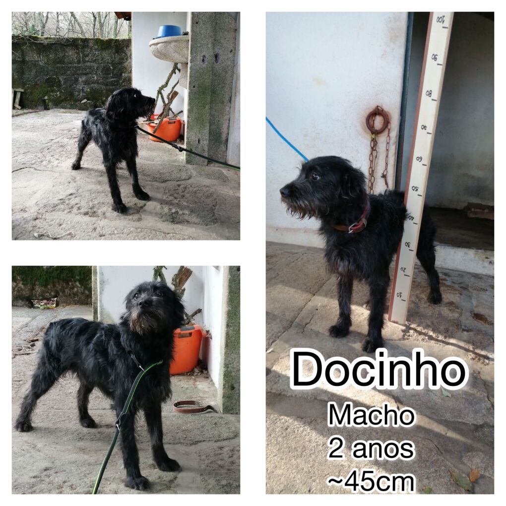 Docinho